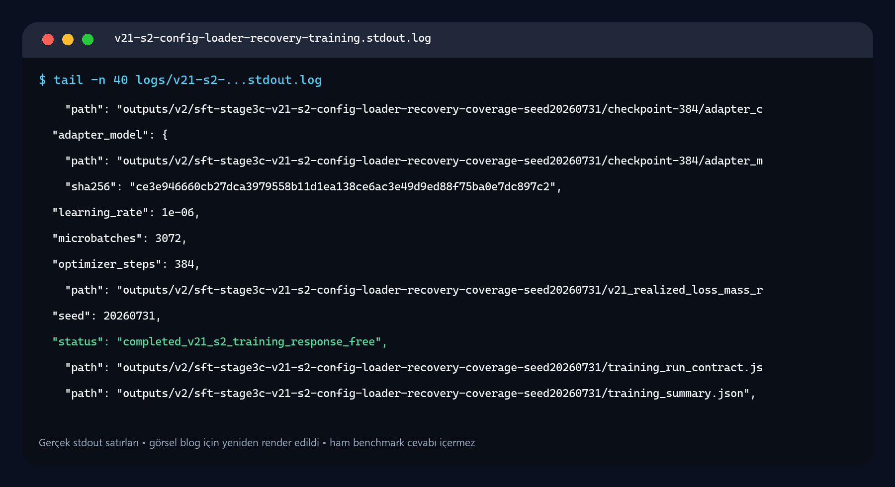 V21 terminal receipt görünümü